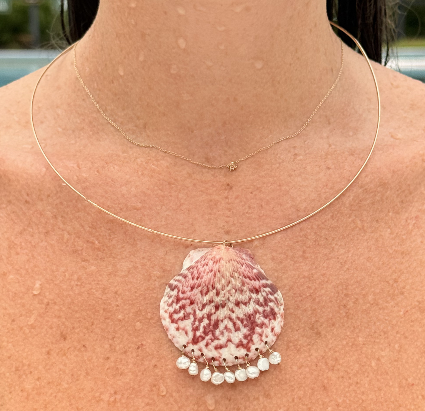 The Shannon Shell Collar Necklace