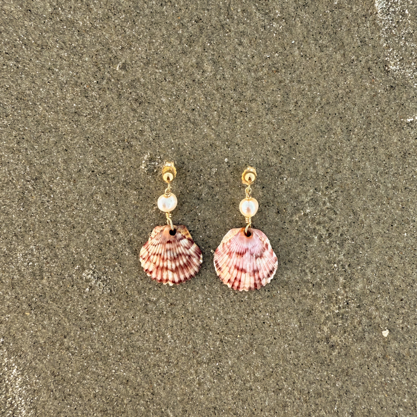 The Cara Stud Shell Earrings