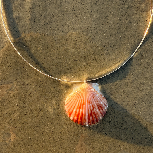 The Amanda Statement Shell Necklace