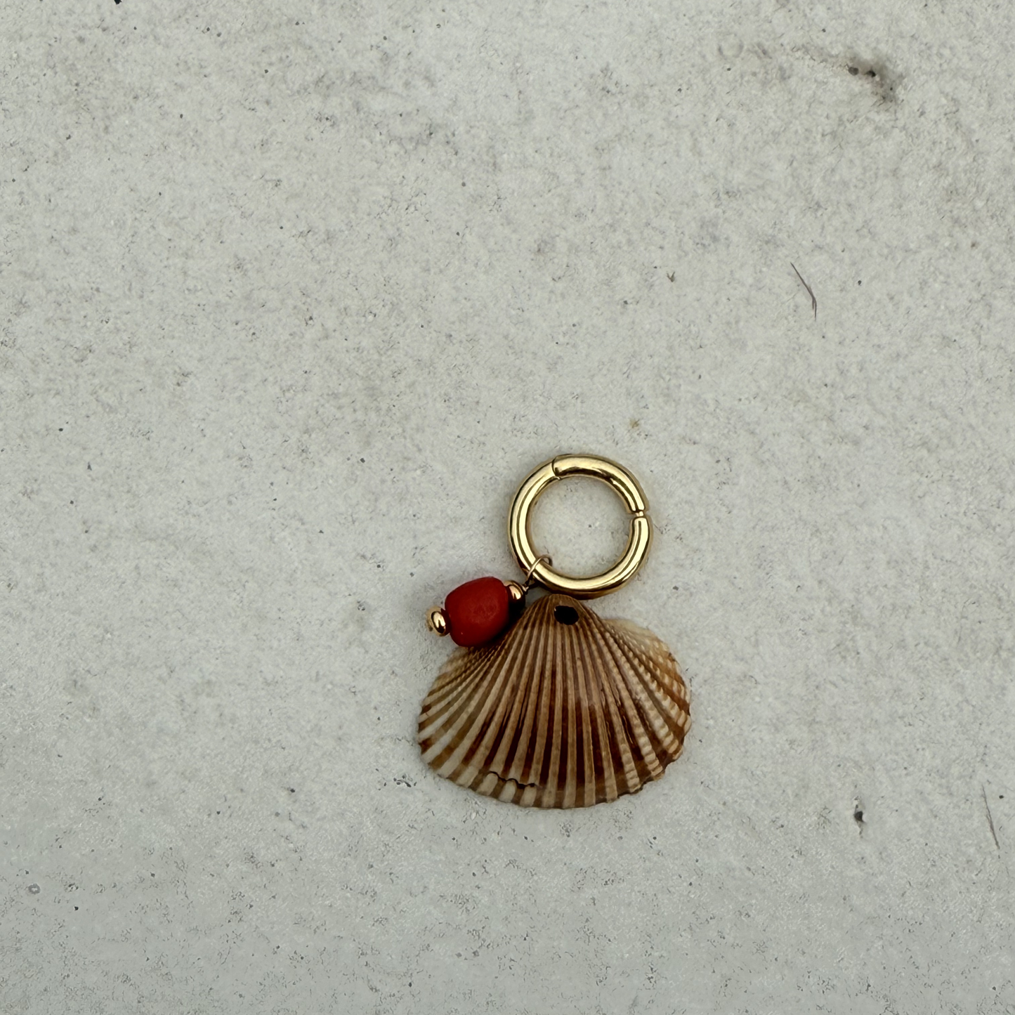 Small Shell Bikini Charm