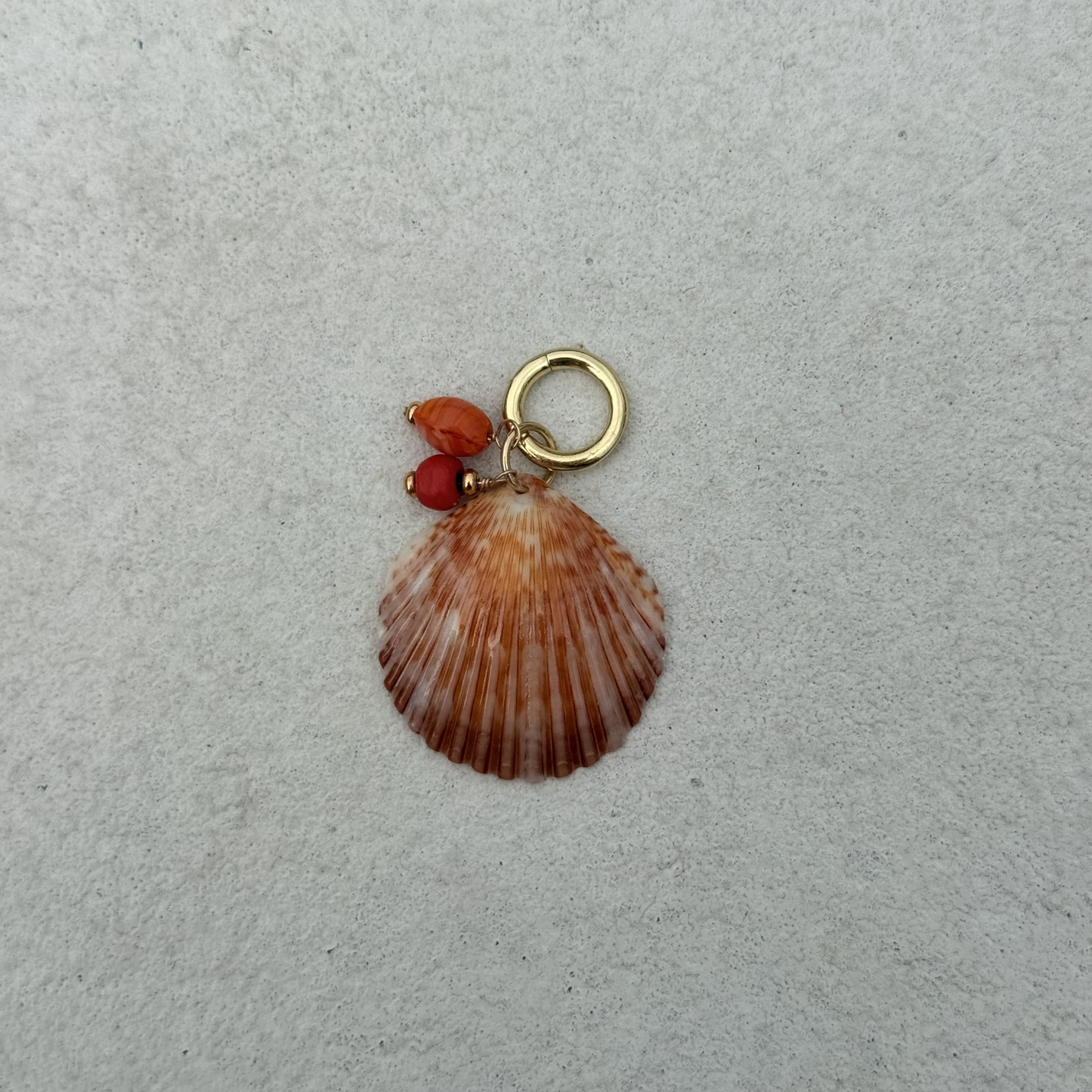 Large Shell Bikini Charm