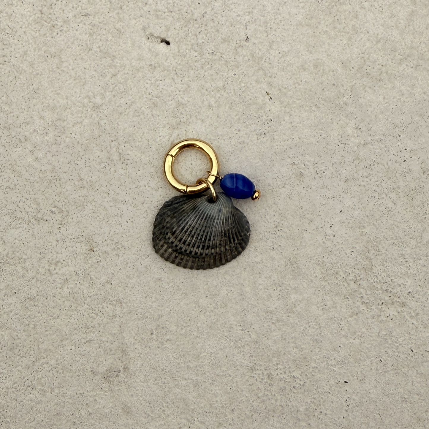 Small Shell Bikini Charm