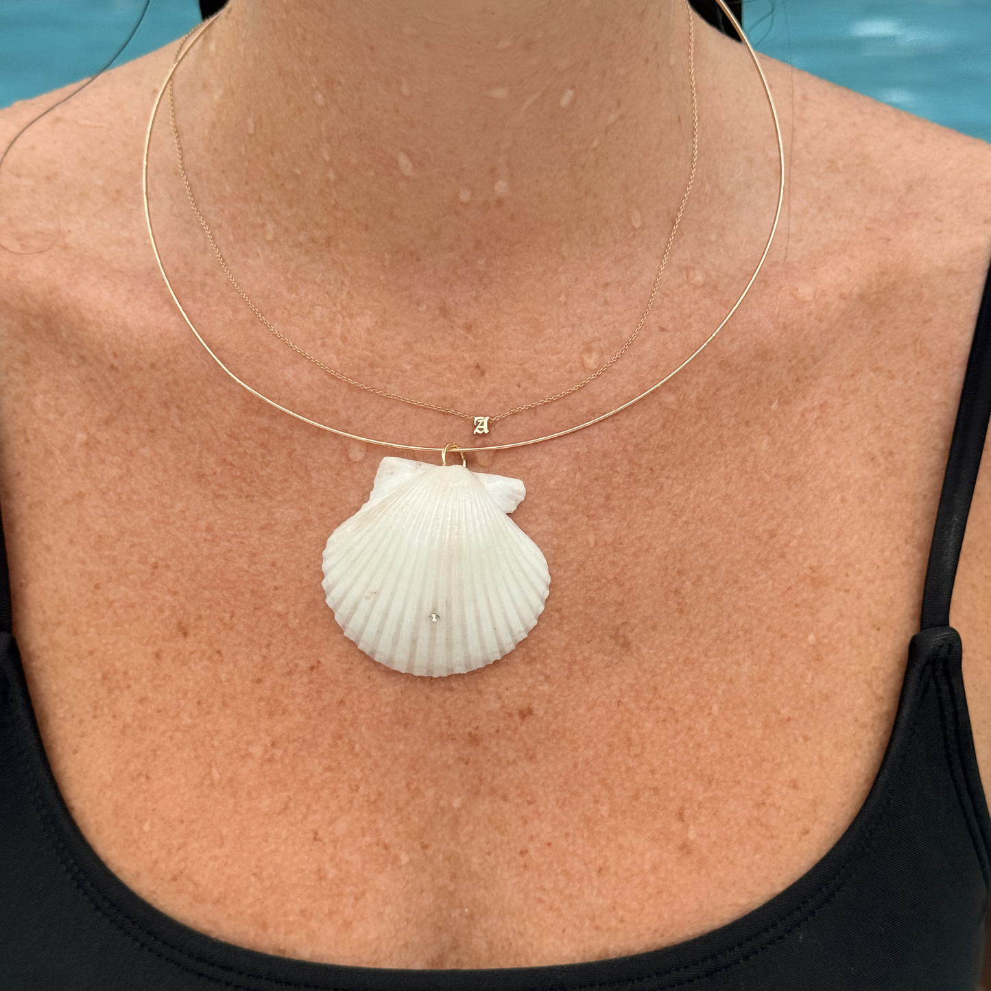 The Courtney Shell Collar Necklace