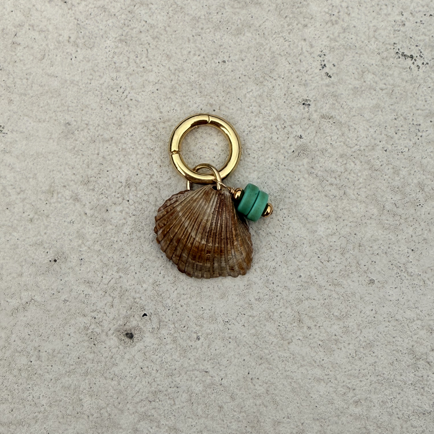 Small Shell Bikini Charm