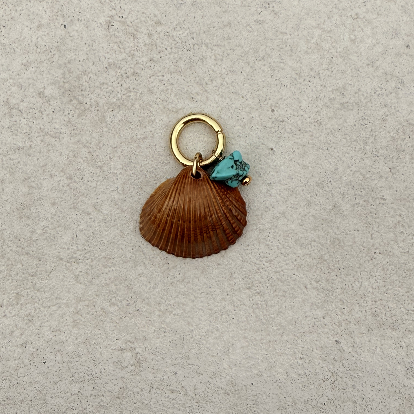 Small Shell Bikini Charm