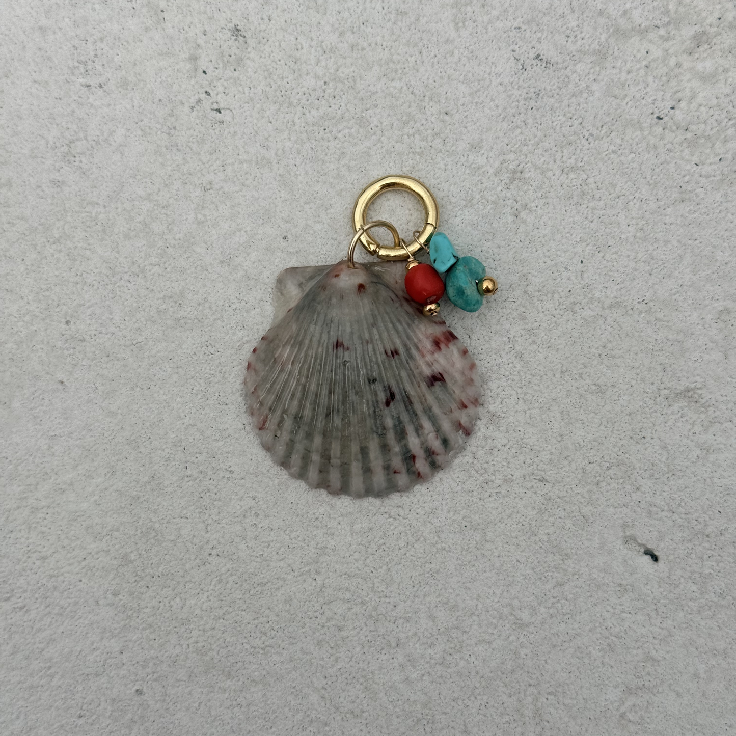 Large Shell Bikini Charm