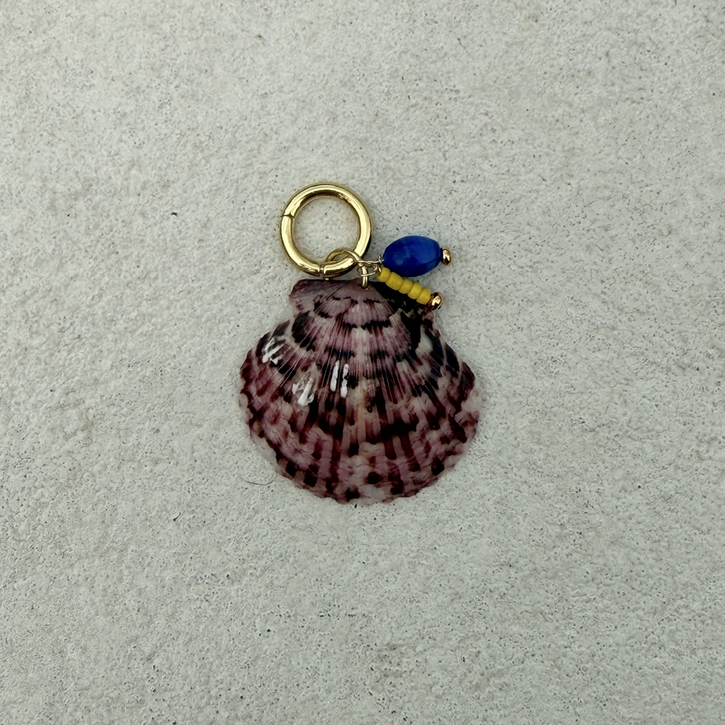 Large Shell Bikini Charm