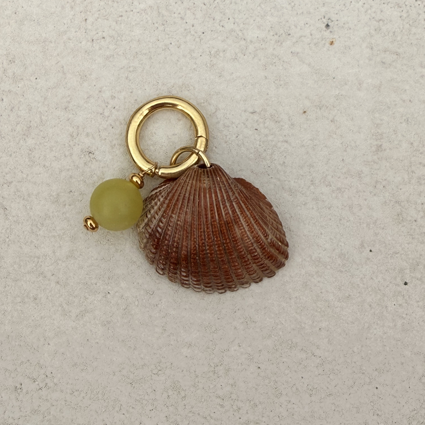 Small Shell Bikini Charm