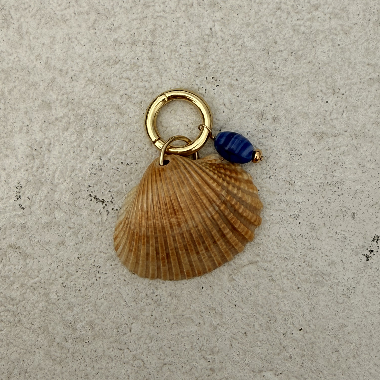 Small Shell Bikini Charm