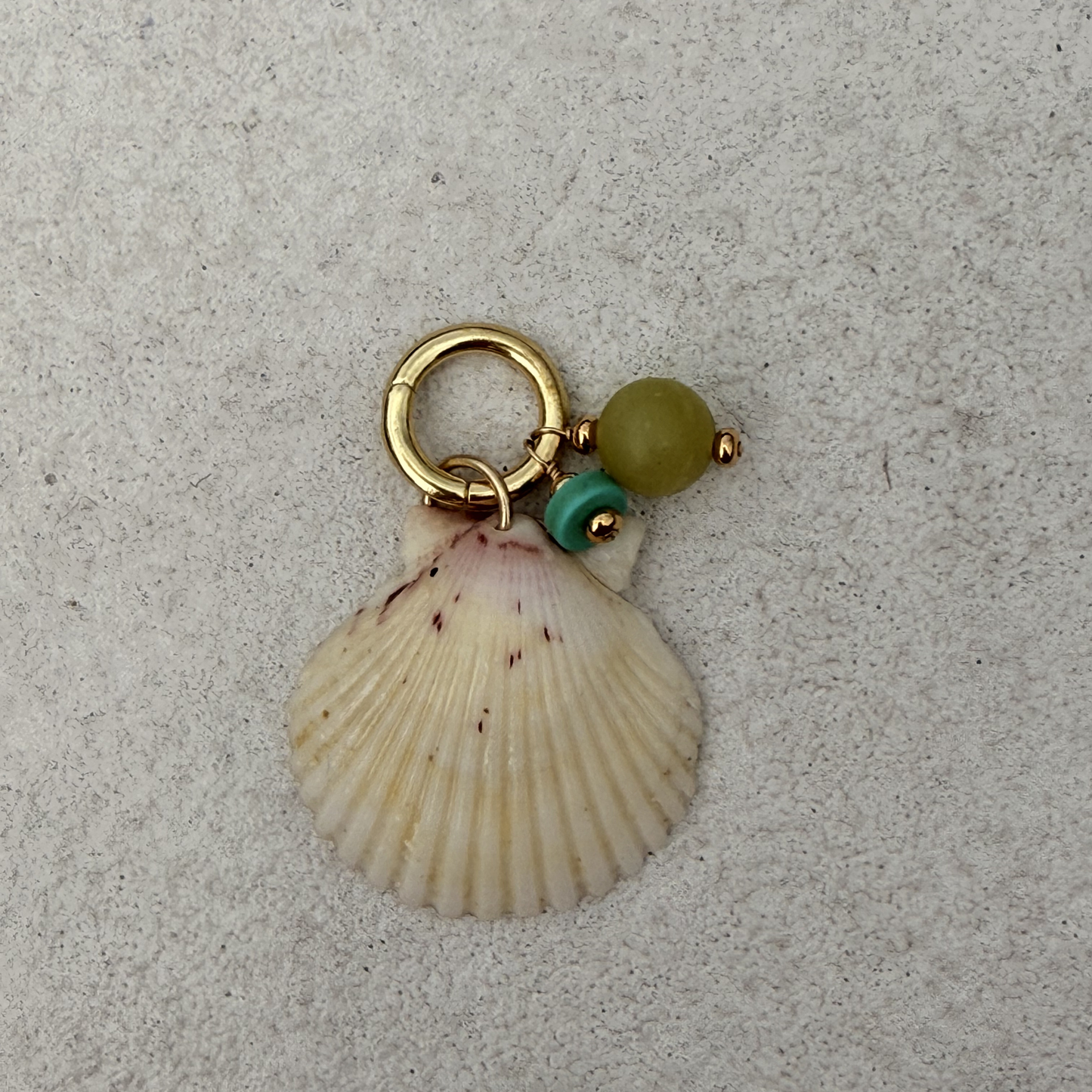 Large Shell Bikini Charm