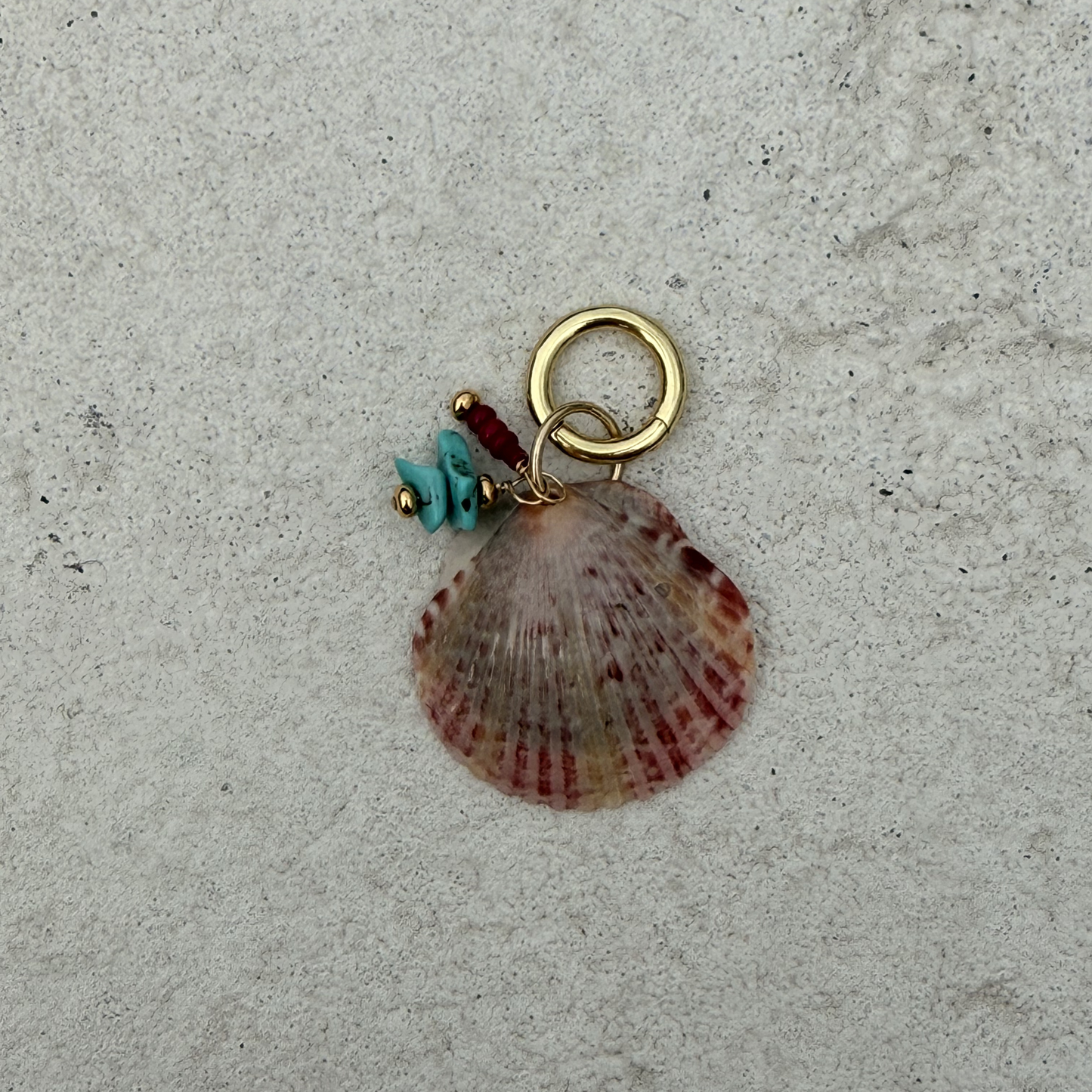 Large Shell Bikini Charm