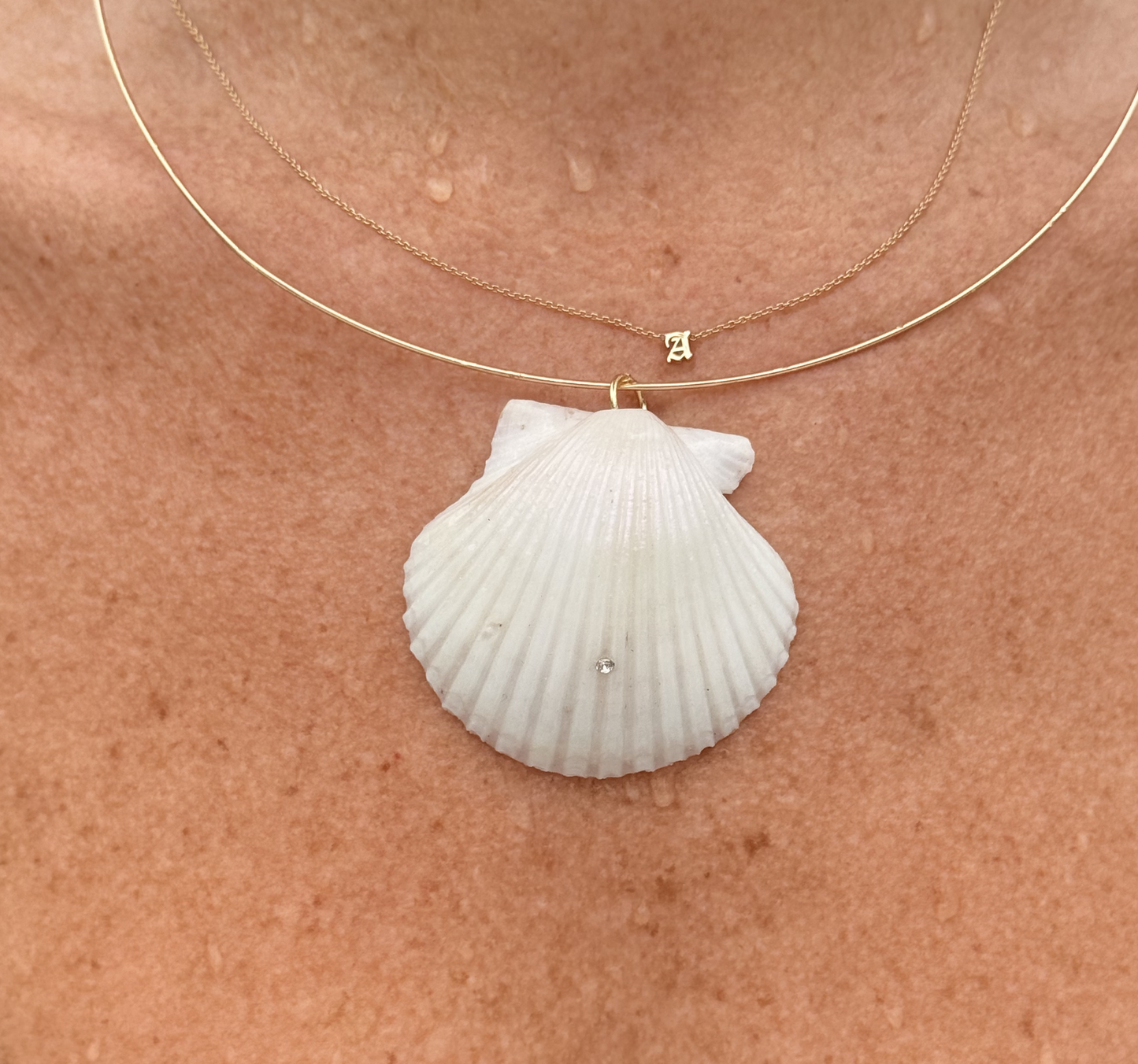 The Courtney Shell Collar Necklace
