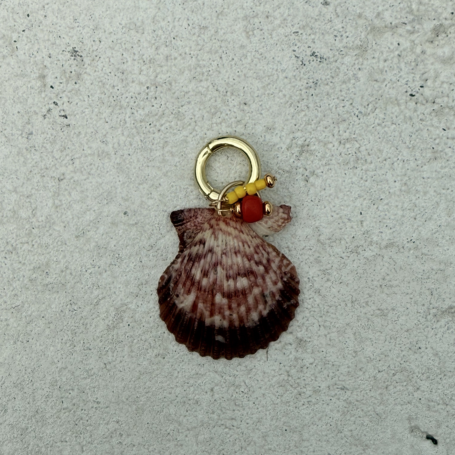 Large Shell Bikini Charm