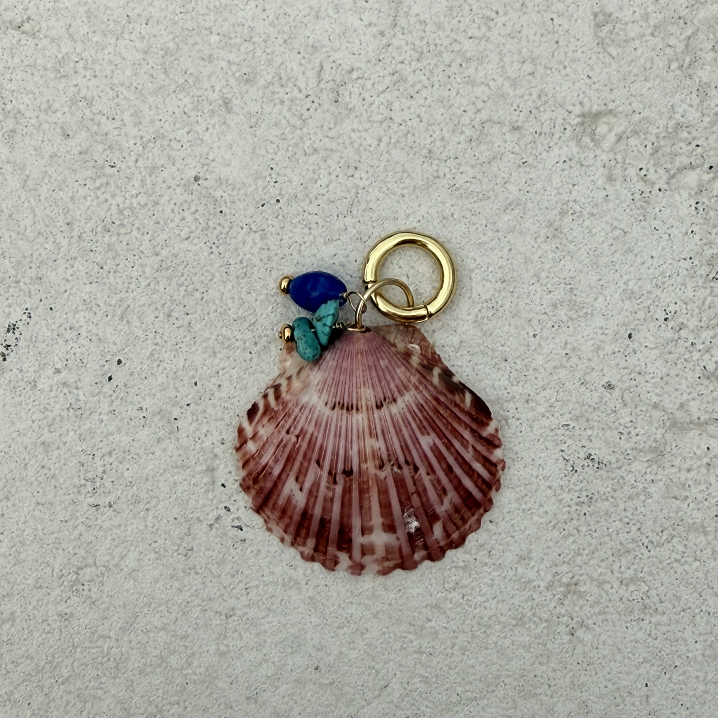 Large Shell Bikini Charm