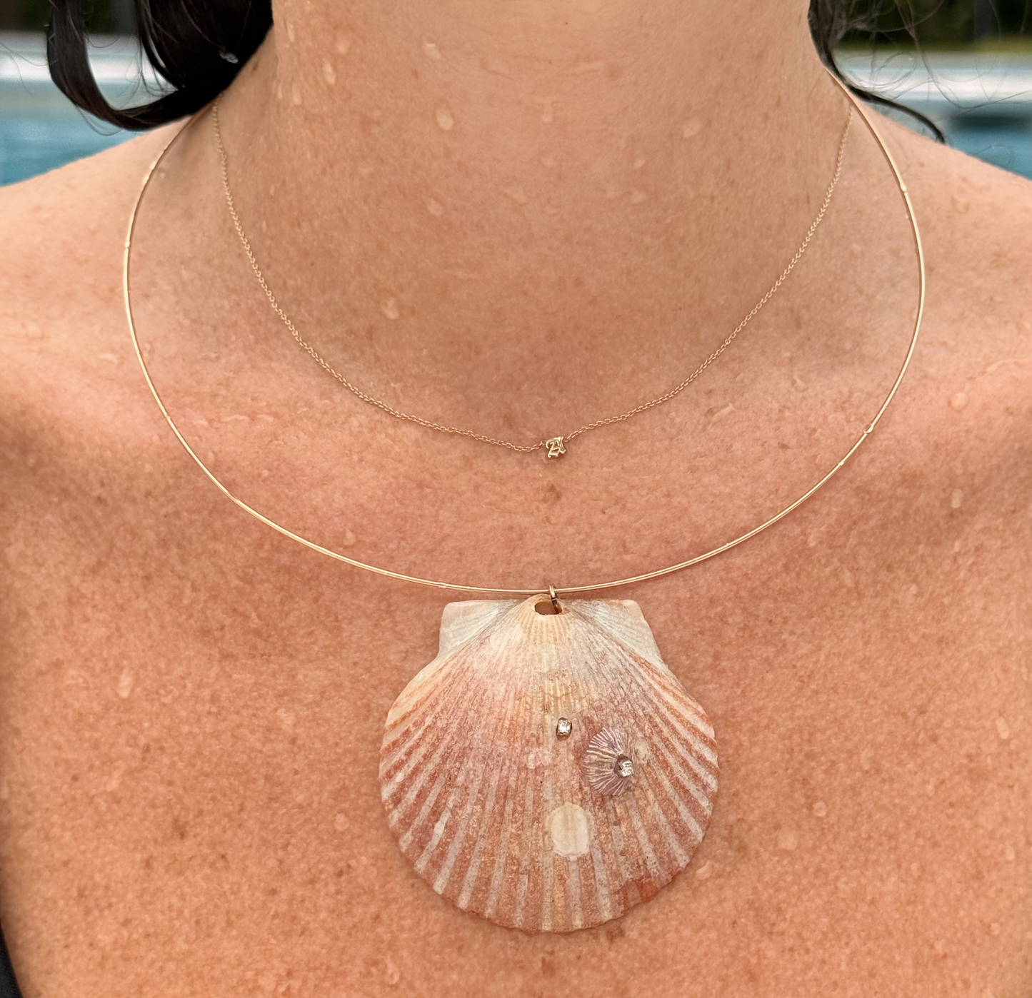 The Violet Shell Collar Necklace
